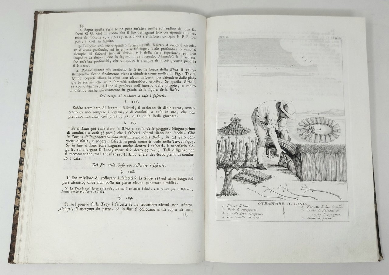 Coltivazione e governo del lino marzuolo.