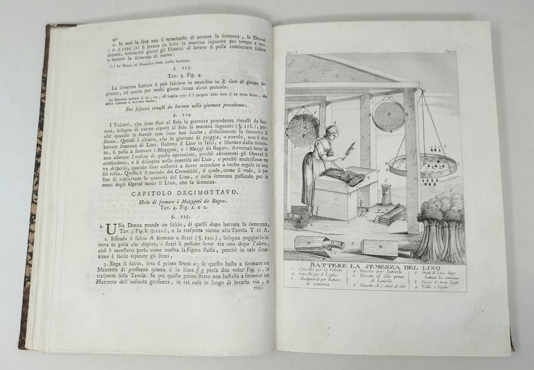 Coltivazione e governo del lino marzuolo.