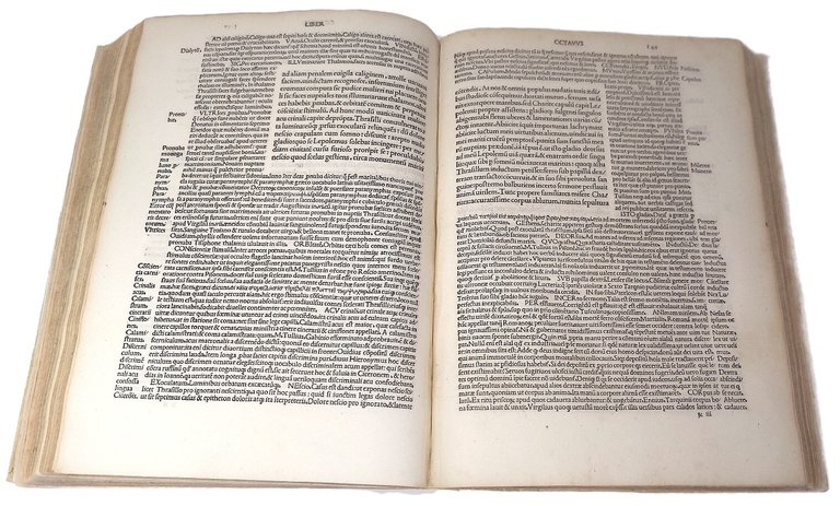 Commentariia Philippo Beroaldo conditi in Asinum Aureum.