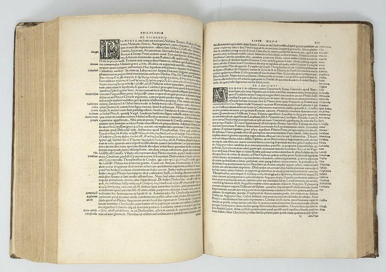 Commentariorum Urbanorum Raphaelis Volaterrani (Maffei), octo et triginta libri... Item …