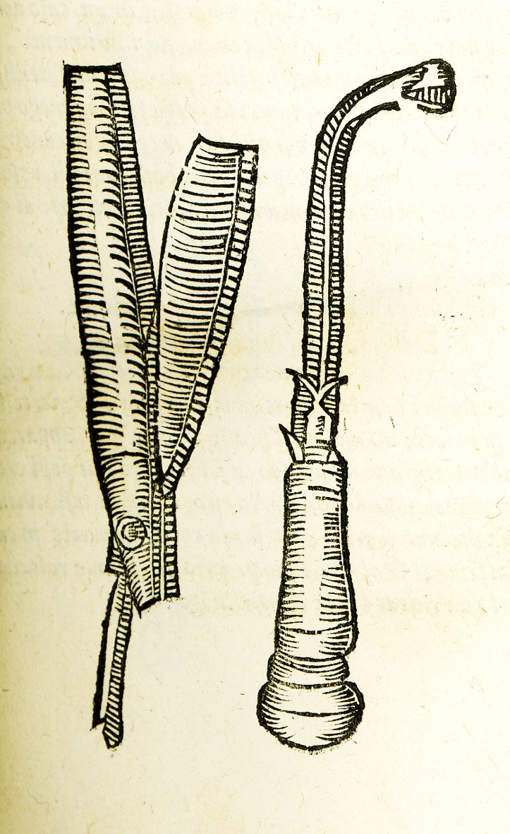Compendio di tutta la Cirugia.