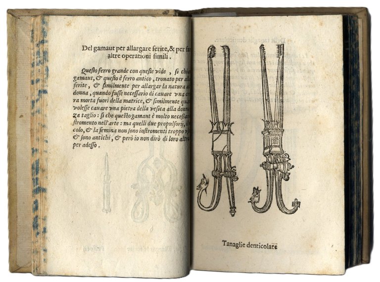 Compendio di tutta la Cirugia.&amp;nbsp;Per Pietro et Lodovico Rostini medici, … | Immagine Gallery 2