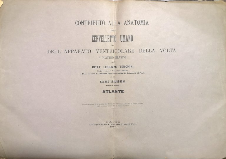 Contributo alla anatomia del cervelletto umano e dell’apparato ventricolare e …