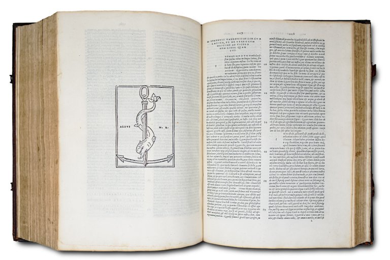 Cornucopiae, sive linguae latinae Commentarii...