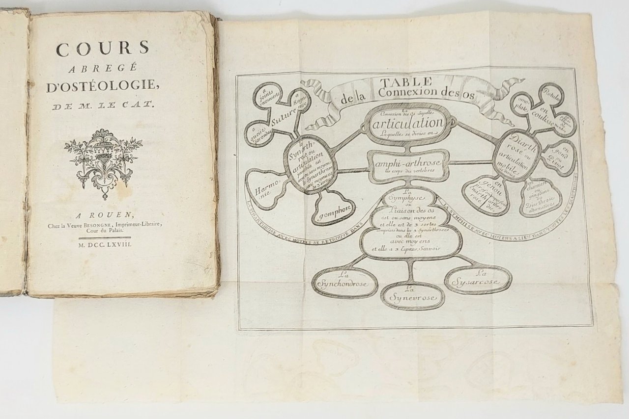Cours abreg&amp;eacute; d'Ost&amp;eacute;ologie.