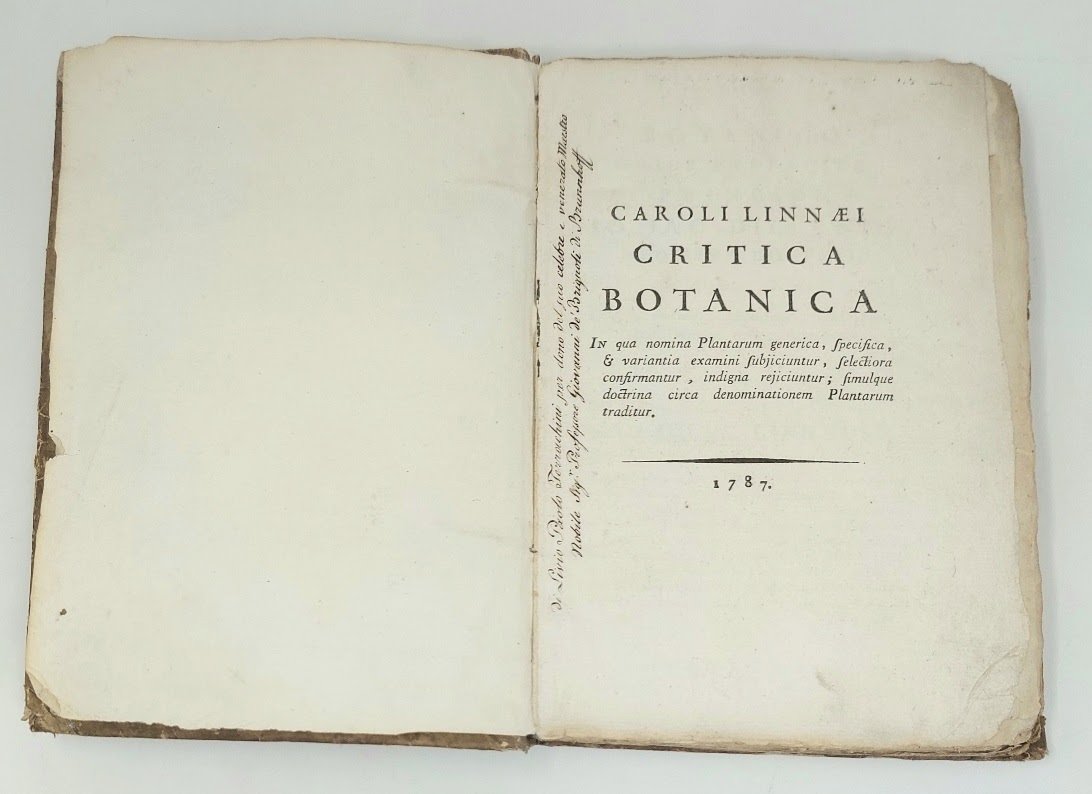 Critica botanica in qua nomina plantarum generica, specifica et variantia …