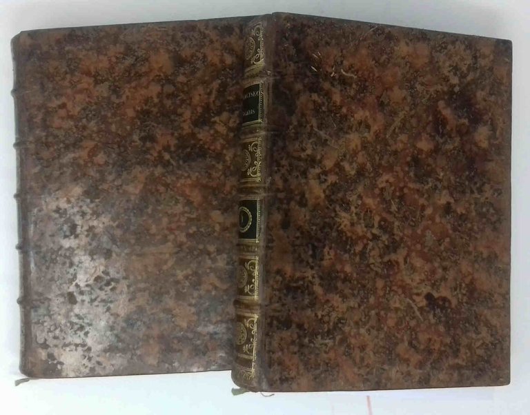 De Analyseos Vulgaris usu in re Physica