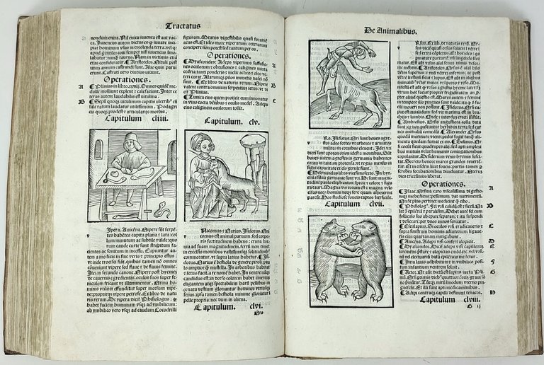 De Herbis et Plantis. De Animalibus &amp;amp; reptilibus. De Avibus …