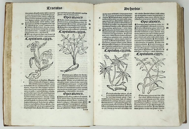 De Herbis et Plantis. De Animalibus &amp;amp; reptilibus. De Avibus …