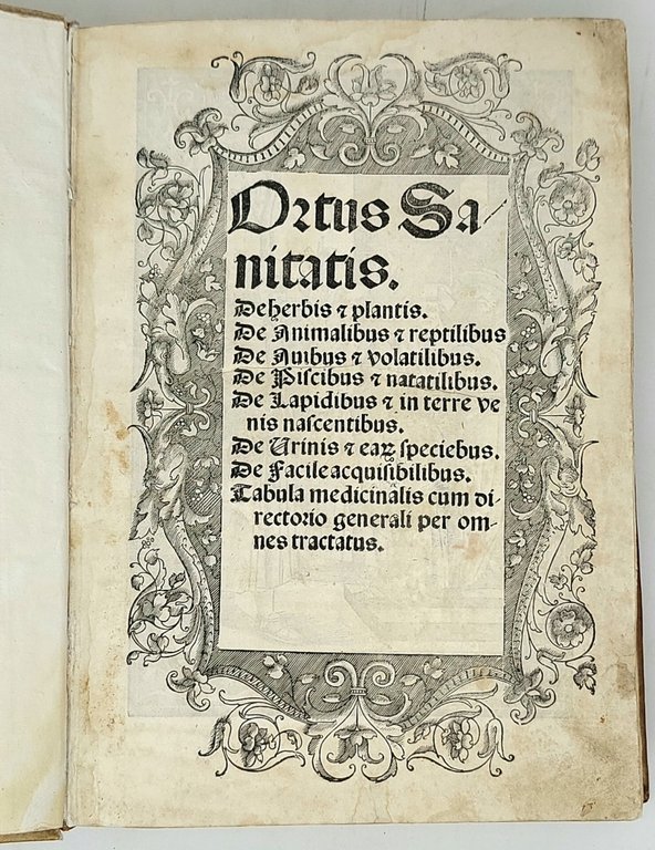 De Herbis et Plantis. De Animalibus &amp;amp; reptilibus. De Avibus …