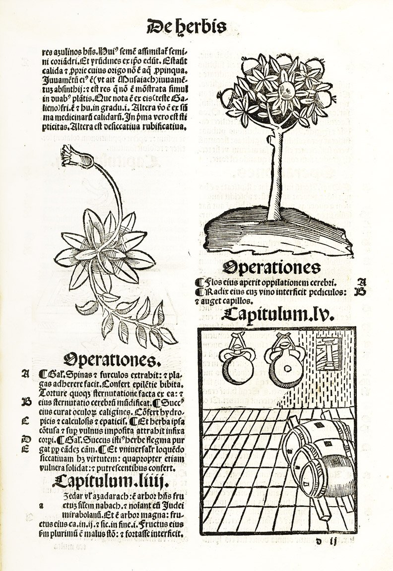 De Herbis et Plantis. De Animalibus &amp;amp; reptilibus. De Avibus …