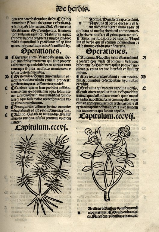 De Herbis et Plantis. De Animalibus &amp;amp; reptilibus. De Avibus …