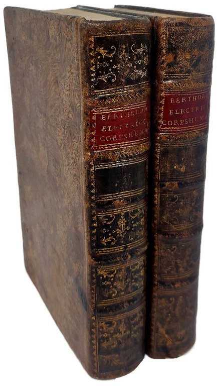 De l'&amp;eacute;lectricit&amp;eacute; du corps humain dans l'&amp;eacute;tat de sante et … | Immagine Gallery 4