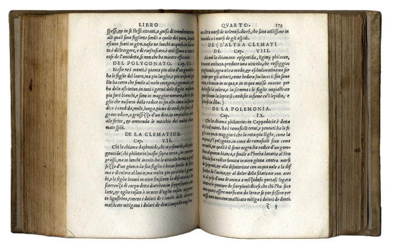 (De Materia Medica) Dioscoride fatto di greco italiano. Al cui … | Immagine Gallery 2