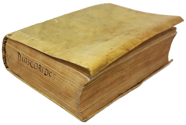 De medicinali materia, libri sex,&amp;nbsp;Ioanne Ruellio interprete. Cuilibet capiti additae …