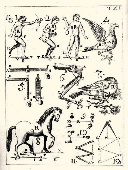 De Motu Animalium, pars prima (et secunda). Editio nova Neapolitana, …