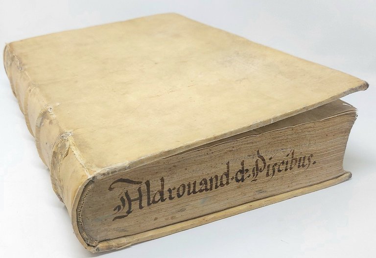 De Piscibus libri V, et de Cetis lib. unus. Ioannes Cornelius …