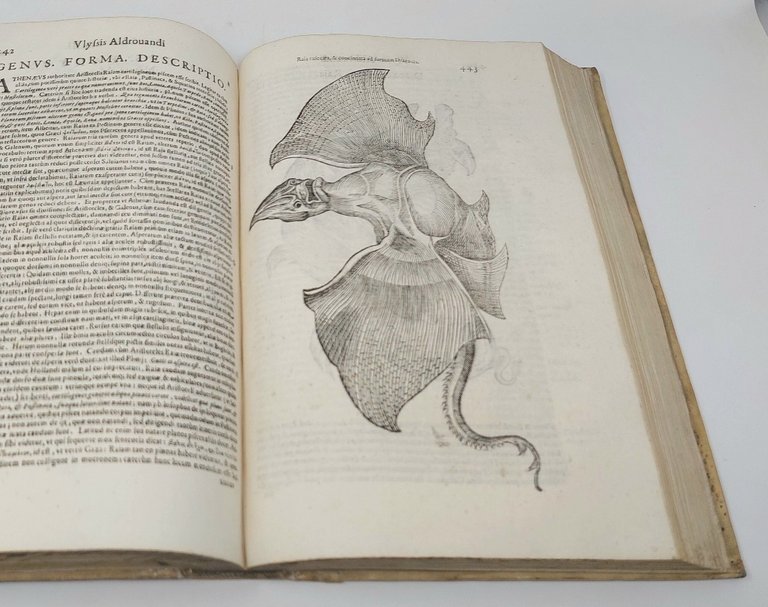 De Piscibus libri V, et de Cetis lib. unus. Ioannes Cornelius …