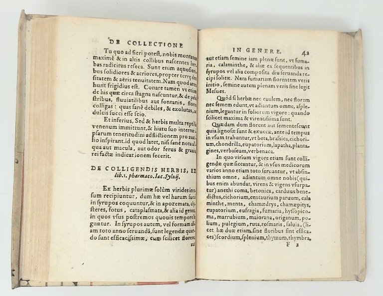 De stirpium collectione tabulae... nunc... de novo in usum pharmacopolarum …