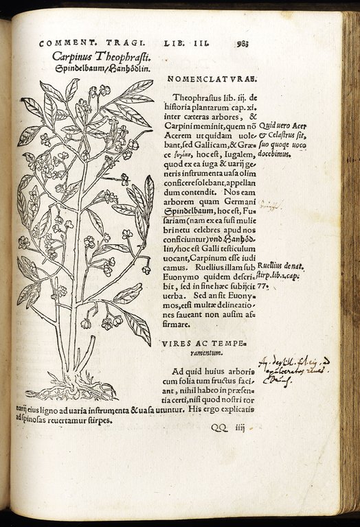 De stirpium commentariorum libri tres.