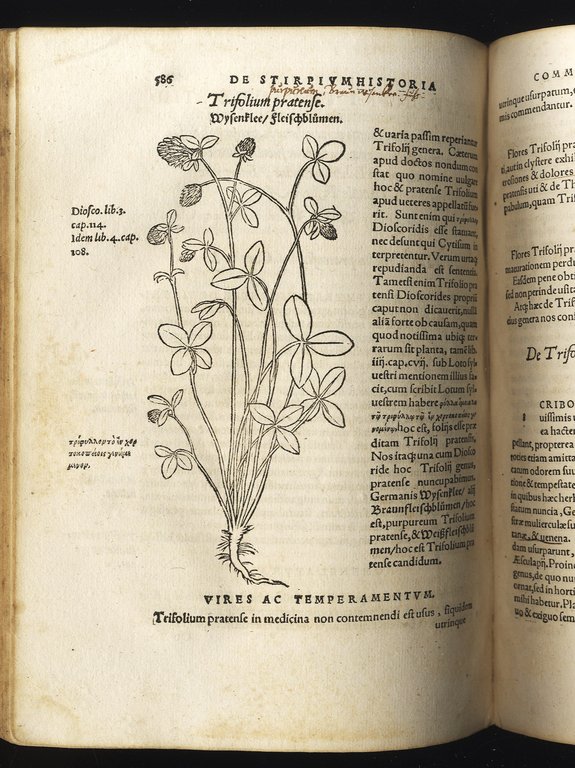 De stirpium commentariorum libri tres.