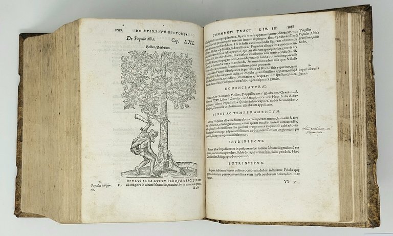 De stirpium commentariorum libri tres.