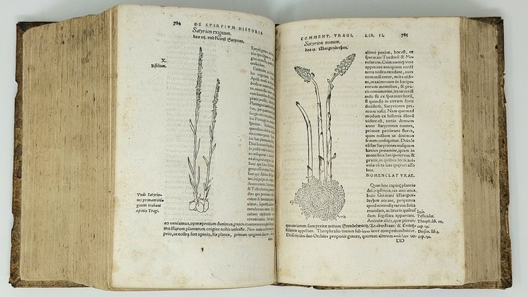 De stirpium commentariorum libri tres.