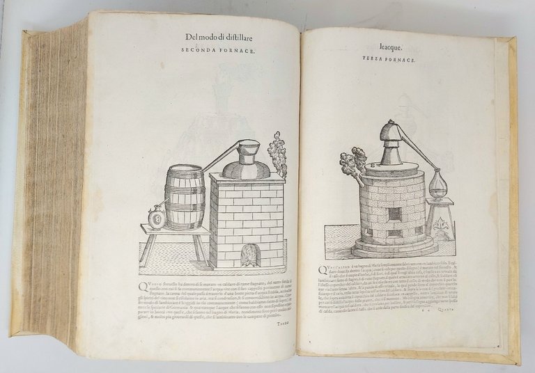 Dei discorsi nelli sei libri di Pedacio Dioscoride Anazarbeo della …