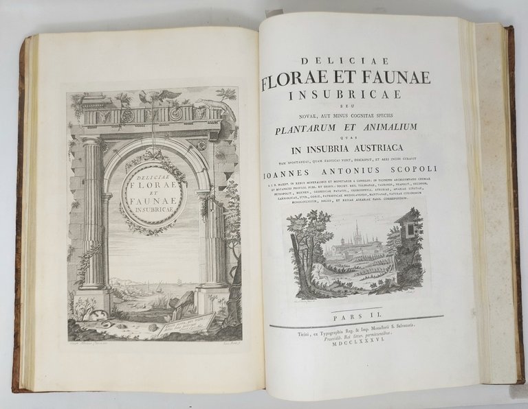 Deliciae Florae et Faunae Insubricae seu novae, aut minus cognitae species …