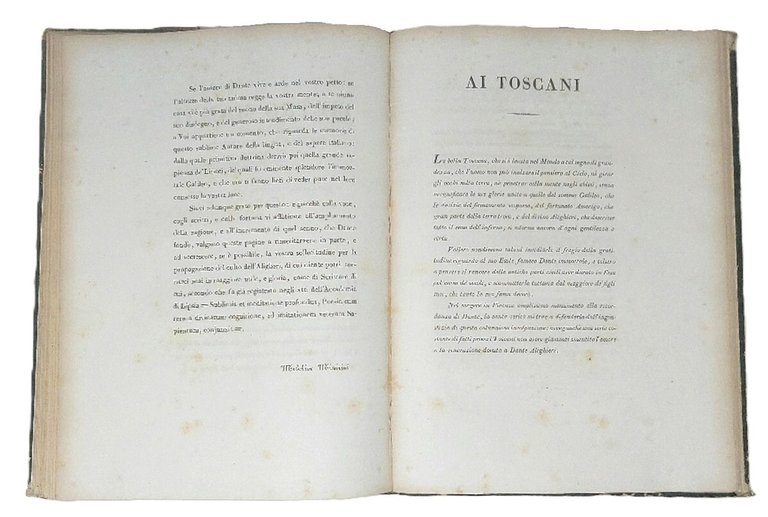 Dell'Amore di Dante Alighieri e del ritratto di Beatrice Portinari. …