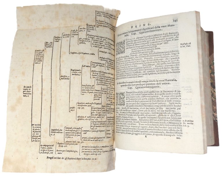 Della difesa della Comedia di Dante. Distinta in sette libri, …