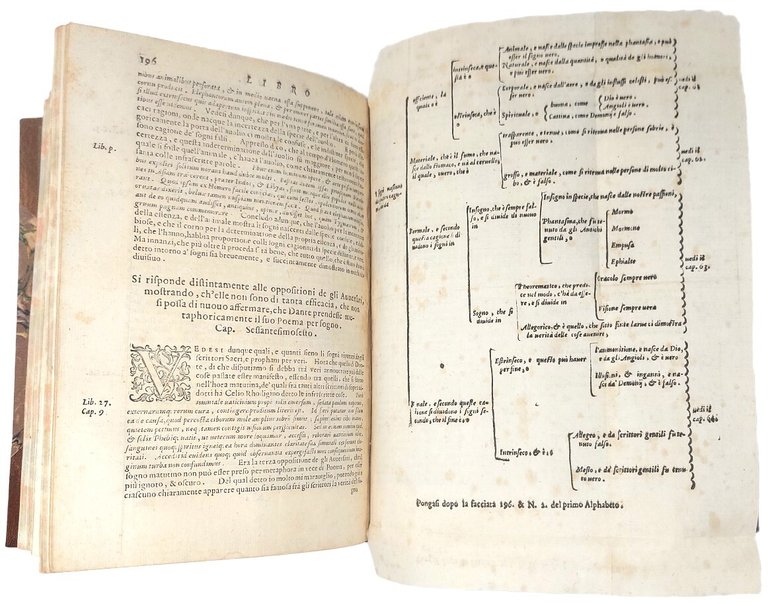 Della difesa della Comedia di Dante. Distinta in sette libri, …