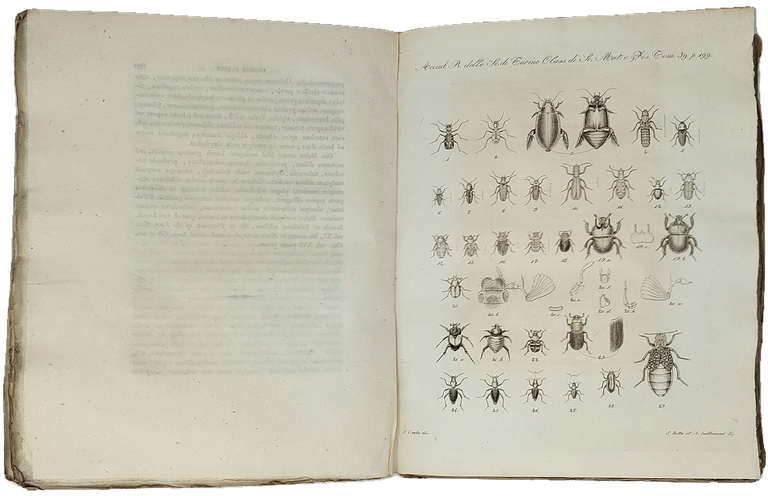 DELLE SCIENZE di Torino. Tomo XXXIX.