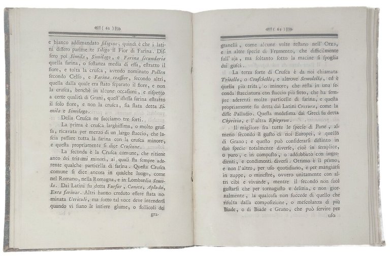 Delle specie diverse di frumento e di pane, siccome della …
