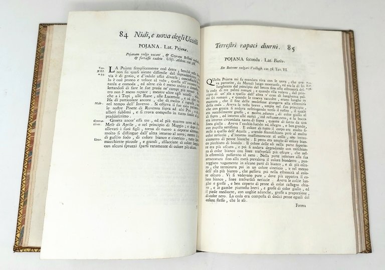 Delle Uova e dei Nidi degli Uccelli, libro primo... Aggiunte …