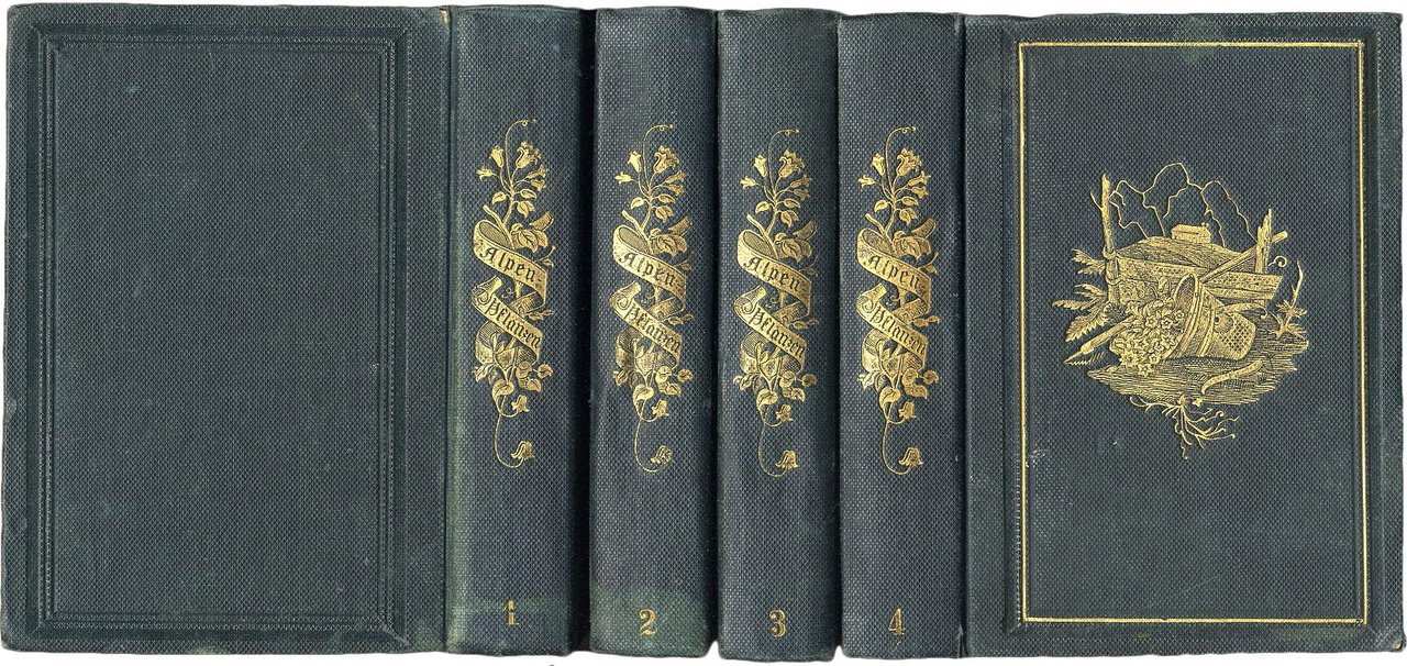 Die Alpen-Pflanzen Deutschlands und der Schweiz in colorierten Abbildungen nach …