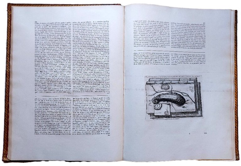 Diverse maniere d'Adornare i Cammini ed ogni altra parte degli …