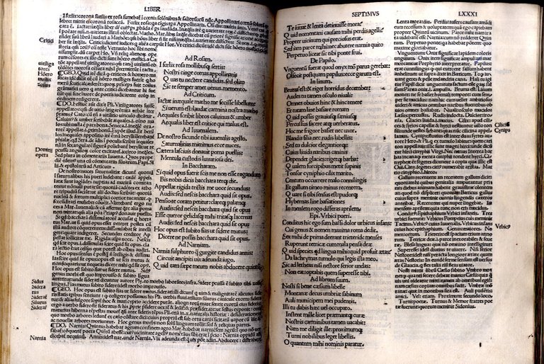 Epigrammata cum duobus comentis (D. Calderini et G. Merulae).