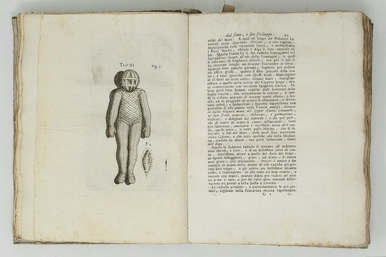 Esperienze ed osservazioni intorno all'origine, sviluppi, e costumi di varj …
