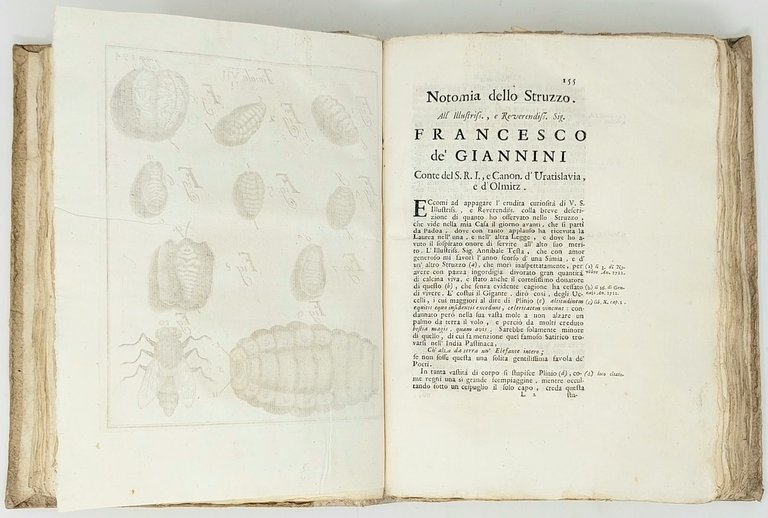 Esperienze ed Osservazioni intorno all'origine, sviluppi, e costumi di varj …