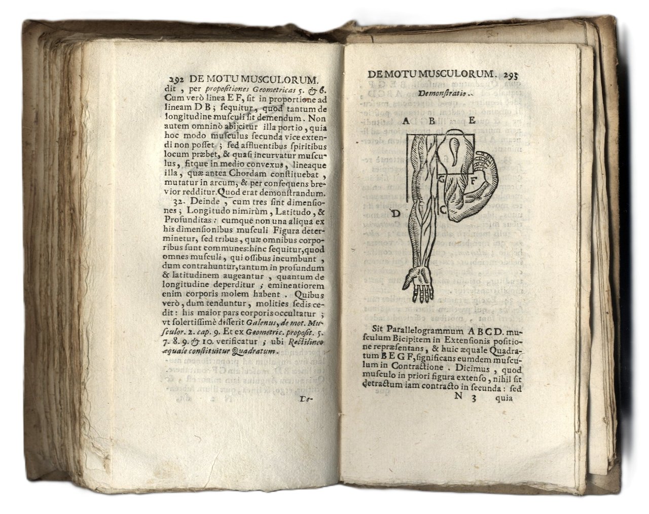Exercitationes physico-anatomicae de oeconomia animalium novis in medicina hypothesibus superstructura, … | Immagine principale