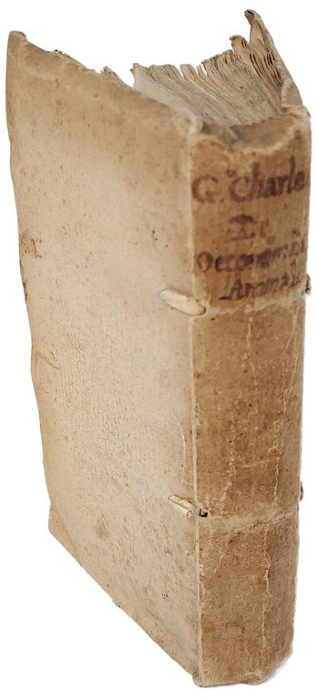 Exercitationes physico-anatomicae de oeconomia animalium novis in medicina hypothesibus superstructura, … | Immagine Gallery 3