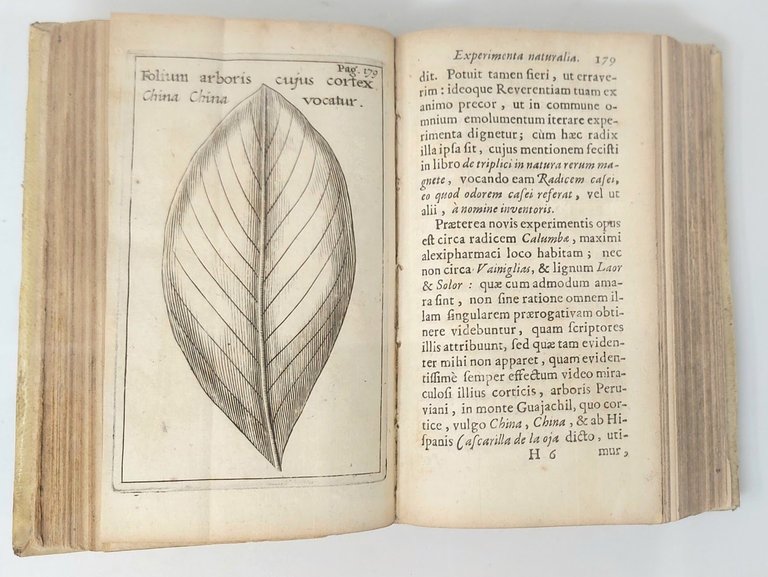 Experimenta circa Res diversas Naturales, speciatim illas, quae ex Indiis …