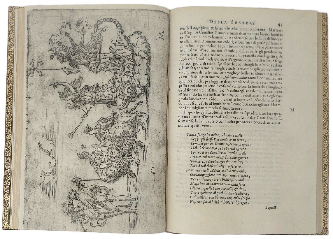 Feste nelle Nozze del Serenissimo Don Francesco Medici gran duca …