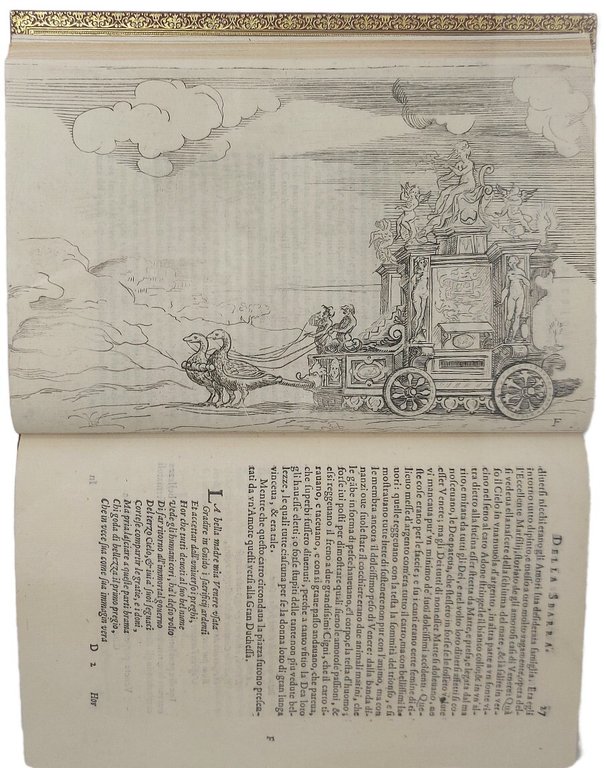 Feste nelle Nozze del Serenissimo Don Francesco Medici gran duca …