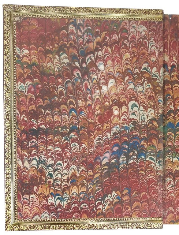 Feste nelle Nozze del Serenissimo Don Francesco Medici gran duca …