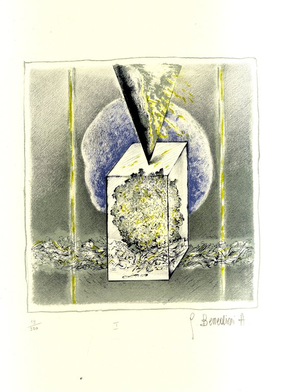 Fiori cosmici. 5 litografie originali a colori. | Immagine Gallery 1