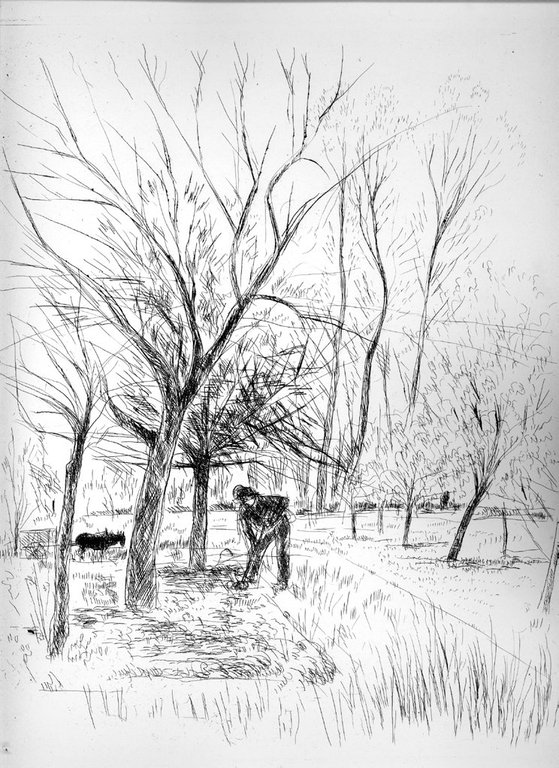 GEORGICA - LES G&amp;Eacute;ORGIQUES Illustr&amp;eacute;es d&amp;rsquo;eaux-fortes par DUNOYER DE SEGONZAC. …