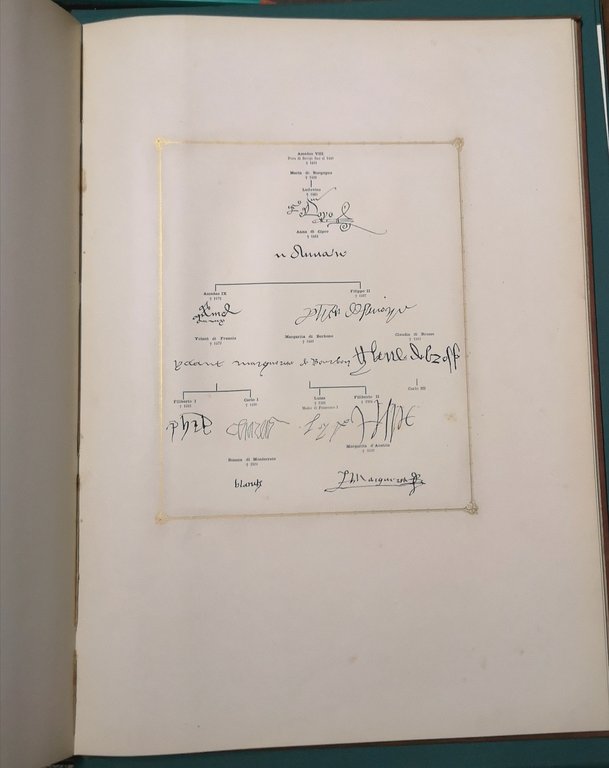 Ghirlanda di margarite offerta in umile e festoso omaggio agli …