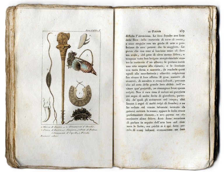 Giornale di una crociera fatta nell'Oceano Pacifico dal Capitano David …